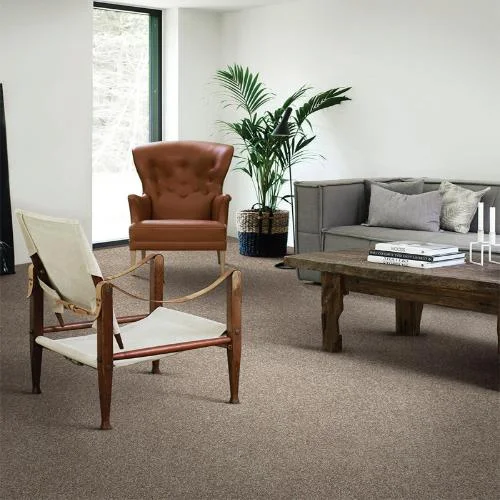 Atticus Carpet