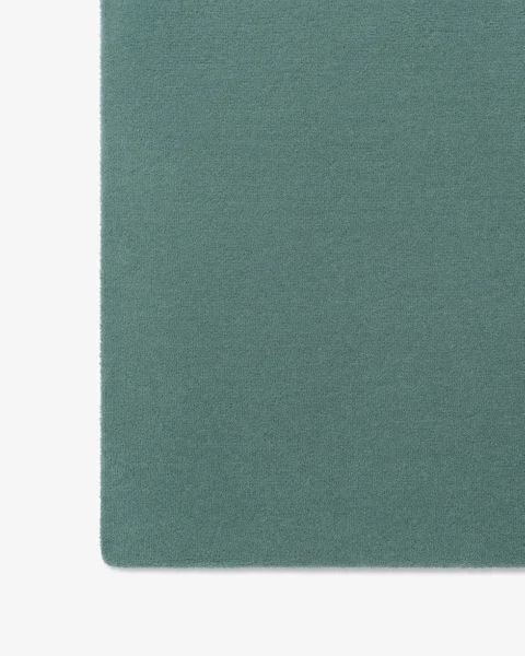 Pale Green Wall to Wall Carpet